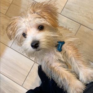 Meet your Posher, Erick